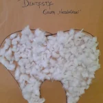 Niedźwiadki - Dzień Dentysty