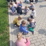 Króliczki - zabawy z kredą