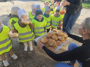 Delfinki - Autorska innowacja pedagogiczna Poznajemy świat- wizyta w piekarni