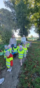 Delfinki w poszukiwaniu pierwszych oznak jesieni