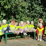 Delfinki w poszukiwaniu pierwszych oznak jesieni