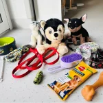 Dinusie - zwierzątka domowe - pies