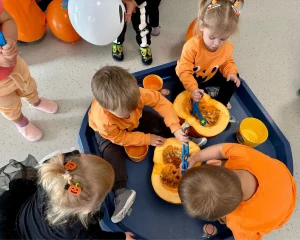 Delfinki - Dzień Dynii