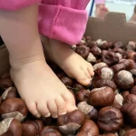 Delfinki - Jesienna ścieżka zmysłów