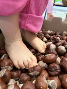 Delfinki - Jesienna ścieżka zmysłów