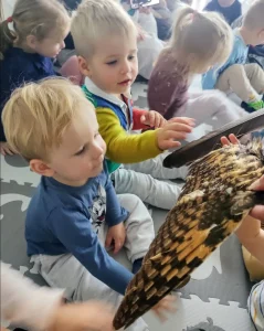 Delfinki - Odwiedziny Zaborskiego Parku Krajobrazowego z opowieścią o życiu SÓWEK