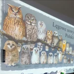 Delfinki - Odwiedziny Zaborskiego Parku Krajobrazowego z opowieścią o życiu SÓWEK