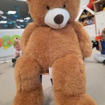 Delfinki - Światowy Dzień Pluszowego Misia