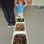 Niedźwiadki - jesienna ścieżka sensoryczna