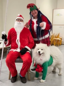 Króliczki - Mikołajki