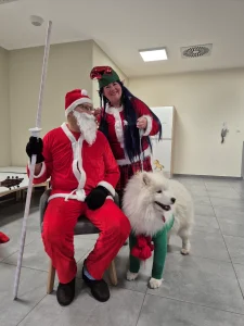 Niedźwiadki - Mikołajki