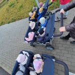 Niedźwiadki - jesienny spacer