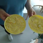 Niedźwiadki - kolor żółty - cytrynki