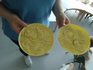 Niedźwiadki - kolor żółty - cytrynki
